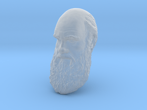Charles Darwin 6" Head Wall Mount in Clear Ultra Fine Detail Plastic