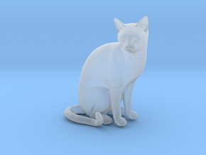 Cat sitting 1/29 scale in Clear Ultra Fine Detail Plastic