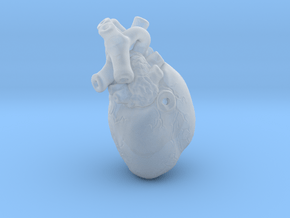 3D-Printed Anatomical Heart Pendant in Clear Ultra Fine Detail Plastic