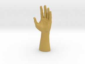 Human Hand in Tan Fine Detail Plastic