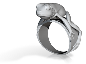 Froggy ring in Clear Ultra Fine Detail Plastic
