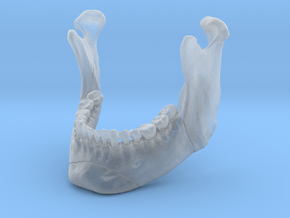 Subject 4b | Mandible in Clear Ultra Fine Detail Plastic