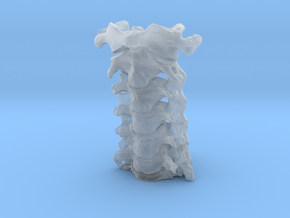 Subject 4d | Vertebrae in Clear Ultra Fine Detail Plastic