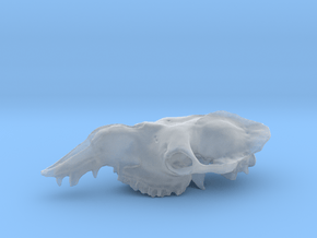 big dromedary skull in Clear Ultra Fine Detail Plastic