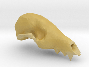 Fox Skull 3D Scan in Tan Fine Detail Plastic