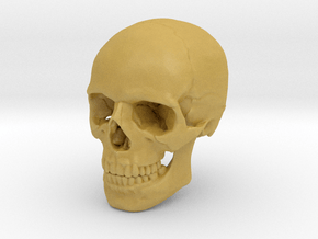 Skull in Tan Fine Detail Plastic