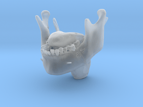 Subject 2g | IMDO Mandible + Tongue (Before) in Clear Ultra Fine Detail Plastic