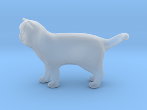 Standing Exotic Shorthair Cat in Clear Ultra Fine Detail Plastic