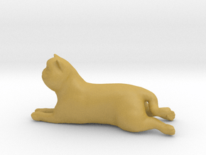 Laying Exotic Shorthair Cat in Tan Fine Detail Plastic