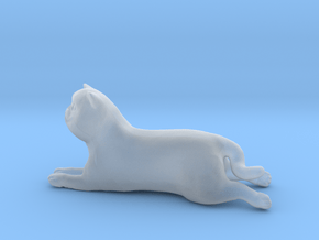 Laying Exotic Shorthair Cat in Clear Ultra Fine Detail Plastic