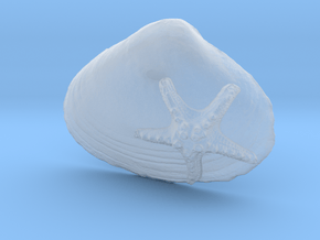 Seashell Pendant 1 in Clear Ultra Fine Detail Plastic
