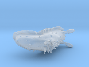 Doris the Nudibranch in Clear Ultra Fine Detail Plastic