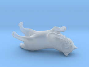 Rolling Exotic Shorthair Cat in Clear Ultra Fine Detail Plastic