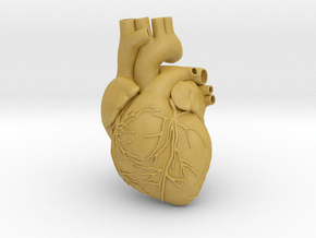 Heart Anatomical 90mm (scale is 1:1) in Tan Fine Detail Plastic