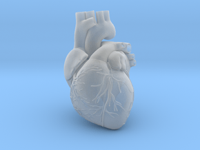 Heart Anatomical 90mm (scale is 1:1) in Clear Ultra Fine Detail Plastic