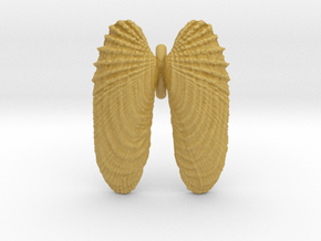 Small Angelwings Shell Pendant in Tan Fine Detail Plastic