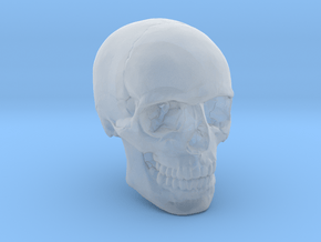 1/24  Human Skull Crane Schädel че́реп in Clear Ultra Fine Detail Plastic