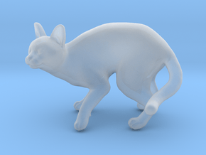 Fearing Gray Chartreux in Clear Ultra Fine Detail Plastic