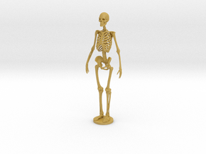 1:24 1:25 Skeleton in Tan Fine Detail Plastic