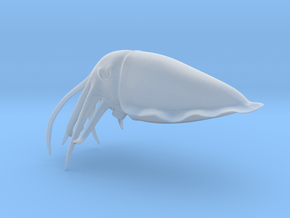 Cuttlefish Statue in Clear Ultra Fine Detail Plastic