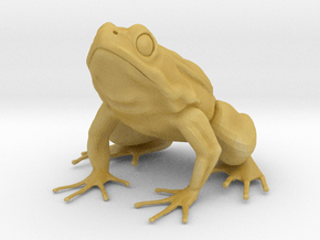 Common Frog  in Tan Fine Detail Plastic