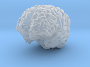 Human Brain in Clear Ultra Fine Detail Plastic