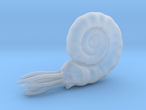 Ammonite in Clear Ultra Fine Detail Plastic