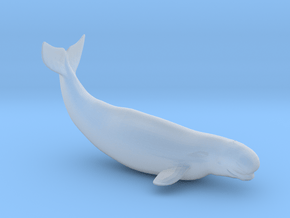 Beluga in Clear Ultra Fine Detail Plastic
