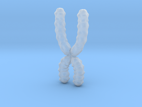 Chromosome in Clear Ultra Fine Detail Plastic