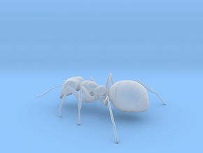 ANT-7inch in Clear Ultra Fine Detail Plastic