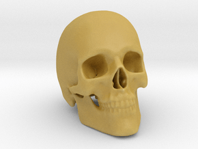 Human Skull in Tan Fine Detail Plastic
