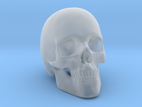 Human Skull in Clear Ultra Fine Detail Plastic