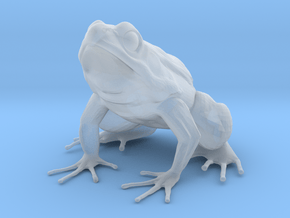 Large Frog Print in Clear Ultra Fine Detail Plastic