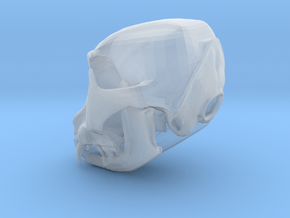 Large Cat Skull in Clear Ultra Fine Detail Plastic