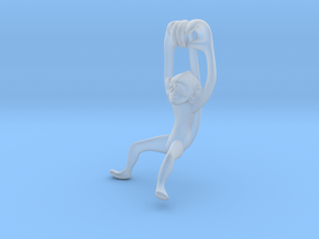 3D-Monkeys 116 in Clear Ultra Fine Detail Plastic