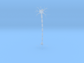 Neuron Pendant. in Clear Ultra Fine Detail Plastic