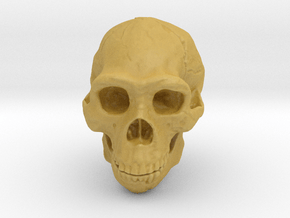 Real Skull : Homo erectus (Scale 1/1) in Tan Fine Detail Plastic