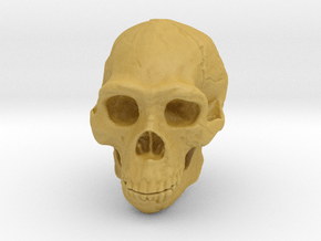 Real Skull : Homo erectus (Scale 1/2) in Tan Fine Detail Plastic