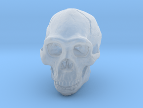 Real Skull : Homo erectus (Scale 1/2) in Clear Ultra Fine Detail Plastic
