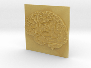 Brain in Tan Fine Detail Plastic