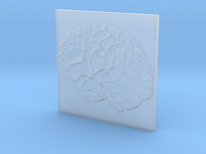 Brain in Clear Ultra Fine Detail Plastic
