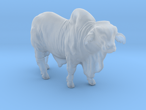 Brahma Bull in Clear Ultra Fine Detail Plastic