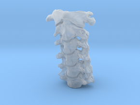 Subject 3e | Vertebrae in Clear Ultra Fine Detail Plastic