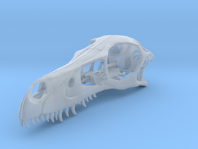 1:1 Velociraptor mongoliensis Skull in Clear Ultra Fine Detail Plastic