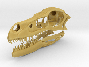 1:1 Velociraptor mongoliensis Skull and Jaw in Tan Fine Detail Plastic