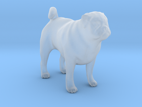 1/22 Pug Standing in Clear Ultra Fine Detail Plastic