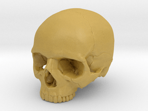 Skull    30mm width in Tan Fine Detail Plastic