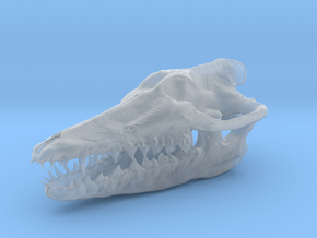 2cm. pakicetus skull in Clear Ultra Fine Detail Plastic