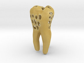 Molar Tooth 100mm with holes ---- Backenzahn 100mm in Tan Fine Detail Plastic