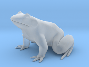 Frog, for acrylic plastic in Clear Ultra Fine Detail Plastic